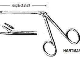 ear forceps 14cm.